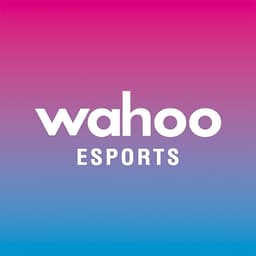 Wahoo Esports